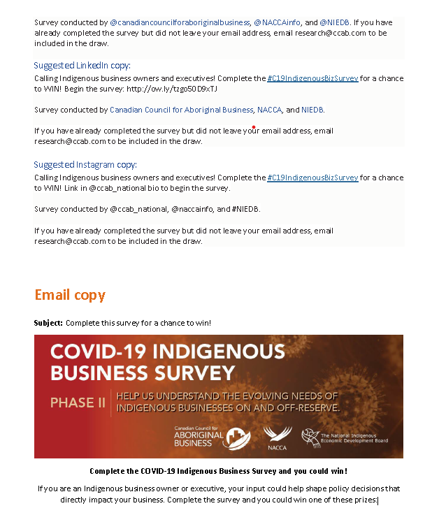 indigenous-business-survey-pg2